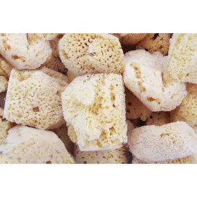 Atlantic Silk Facial Sponge